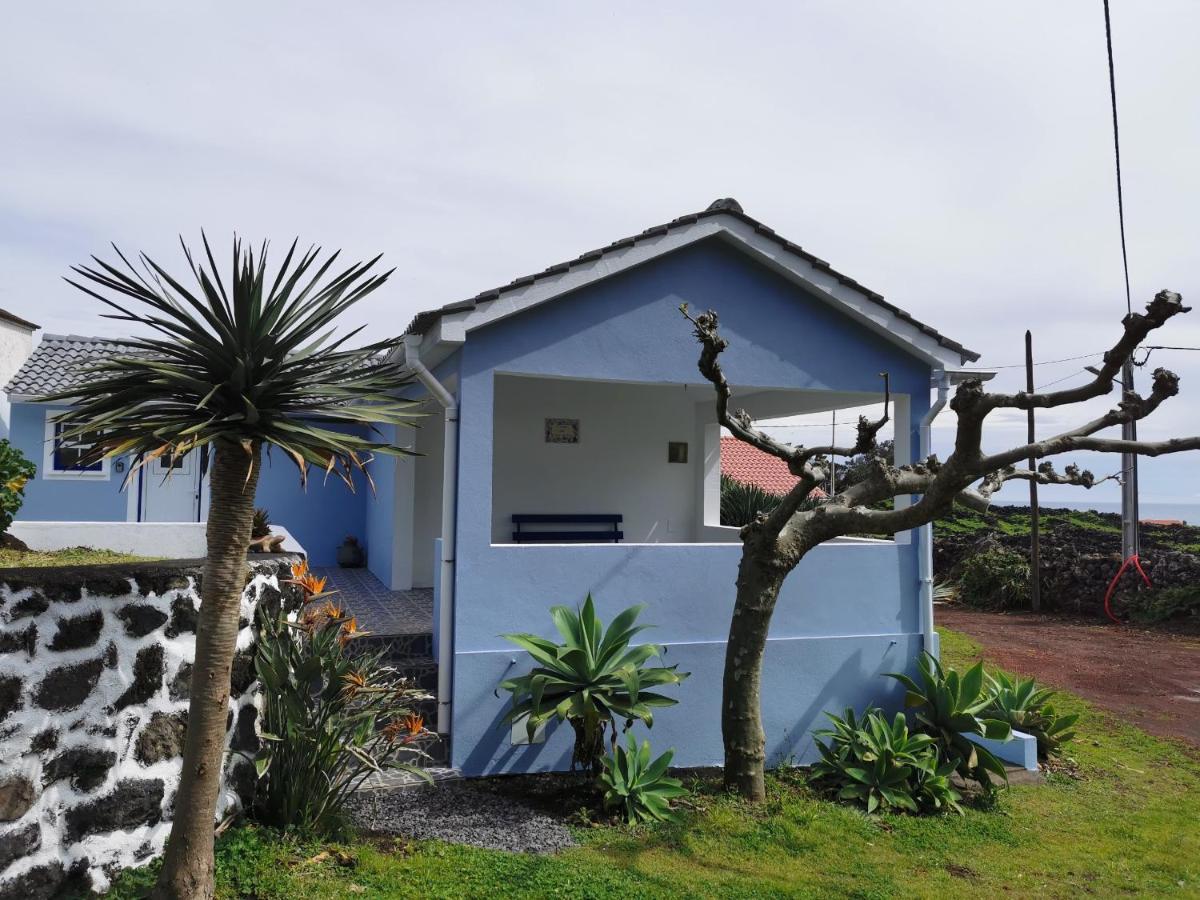 Faja do Ouvidor Casa Da Eira Velha 빌라 외부 사진